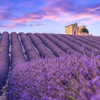 法国7日私家团 法国7日私家团
