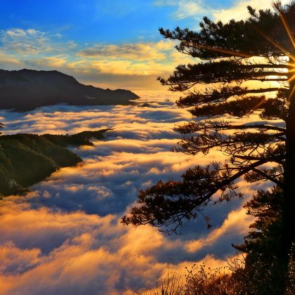 江西井冈山+庐山+景德镇+婺源+三清山+南昌8日7晚跟团游 江西井冈山+庐山+景德镇+婺源+三清山+南昌8日7晚跟团游