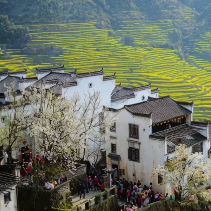 婺源+三清山4日3晚跟团游 婺源+三清山4日3晚跟团游