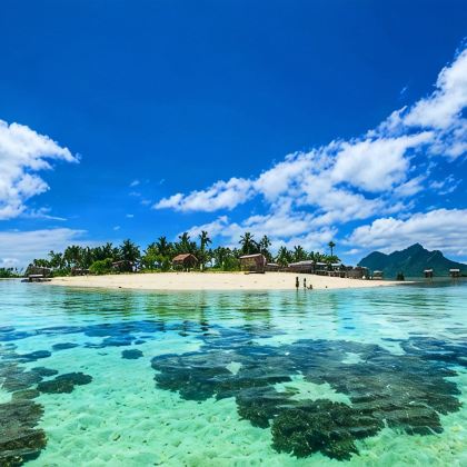 仙本那+西巴丹潜水9日8晚私家团 仙本那+西巴丹潜水9日8晚私家团