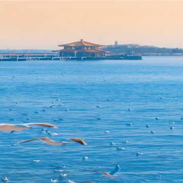 青岛2日1晚拼小团 青岛2日1晚拼小团