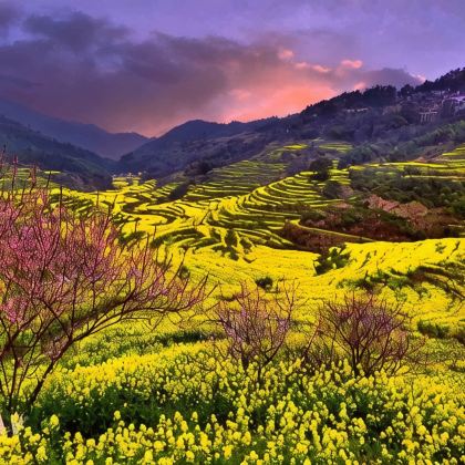 宏村景区+婺源篁岭景区2日1晚跟团游 宏村景区+婺源篁岭景区2日1晚跟团游