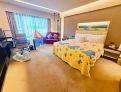 room overview picture