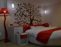 room overview picture