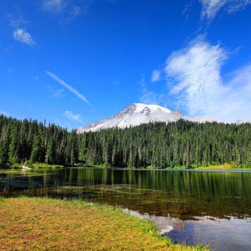 美国西雅图+奥林匹克国家公园+雷尼尔山国家公园5日4晚跟团游 美国西雅图+奥林匹克国家公园+雷尼尔山国家公园5日4晚跟团游