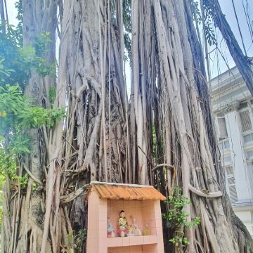 越南胡志明市+富国岛+芽庄7日6晚拼小团 越南胡志明市+富国岛+芽庄7日6晚拼小团