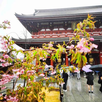 日本东京+箱根+富士山+日光市+浅草寺+河口湖+日光东照宫+日光江户村8日7晚拼小团 日本东京+箱根+富士山+日光市+浅草寺+河口湖+日光东照宫+日光江户村8日7晚拼小团