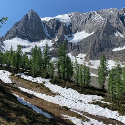 加拿大班夫国家公园4日3晚跟团游 加拿大班夫国家公园4日3晚跟团游