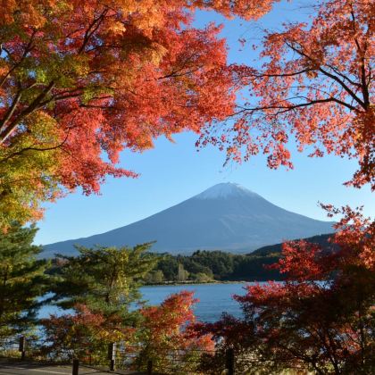 日本东京+富士山+京都+大阪+奈良市6日5晚跟团游 日本东京+富士山+京都+大阪+奈良市6日5晚跟团游