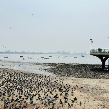 印度孟买+斋浦尔+新德里4日3晚拼小团 印度孟买+斋浦尔+新德里4日3晚拼小团