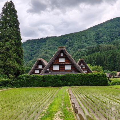 日本东京+大阪+小松+金泽+白川乡+富士山+立山黑部阿尔卑斯山脉8日7晚跟团游 日本东京+大阪+小松+金泽+白川乡+富士山+立山黑部阿尔卑斯山脉8日7晚跟团游