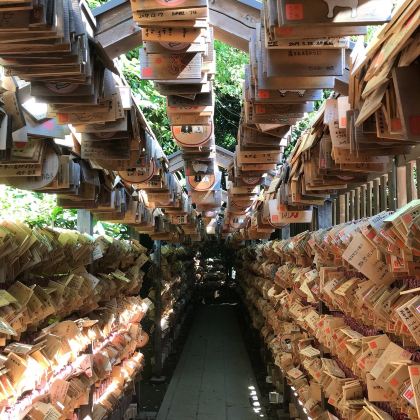 日本名古屋+高山市+松本市+轻井泽町+东京7日6晚私家团 日本名古屋+高山市+松本市+轻井泽町+东京7日6晚私家团