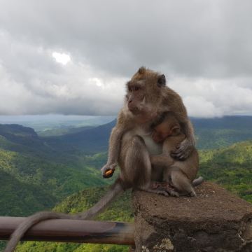 毛里求斯8日7晚拼小团 毛里求斯8日7晚拼小团