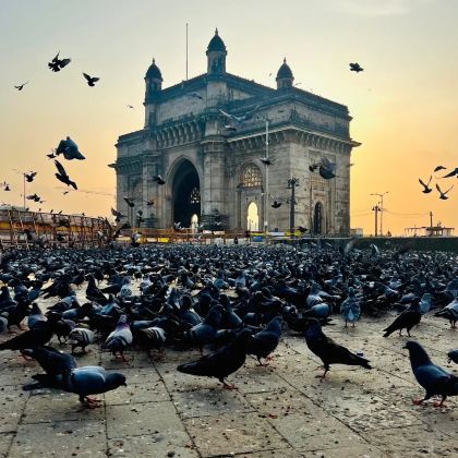 印度孟买+斋浦尔+新德里8日7晚拼小团 印度孟买+斋浦尔+新德里8日7晚拼小团