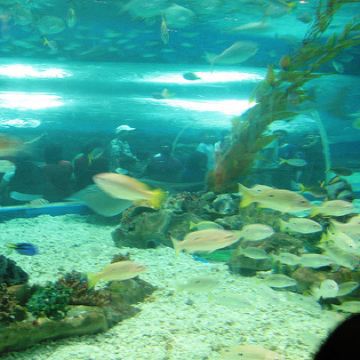 菲律宾马尼拉市+长滩岛6日5晚私家团 菲律宾马尼拉市+长滩岛6日5晚私家团