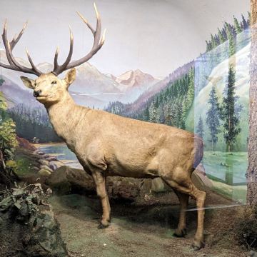 印度孟买+斋浦尔+新德里6日5晚拼小团 印度孟买+斋浦尔+新德里6日5晚拼小团