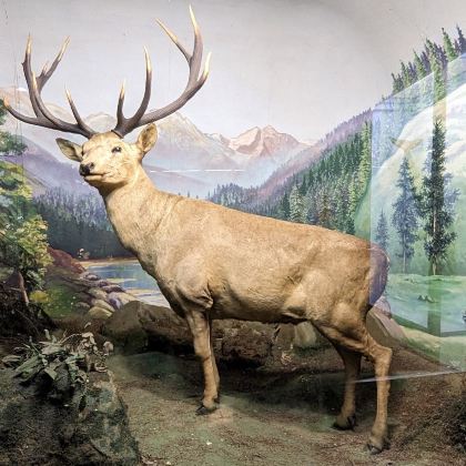 印度孟买+斋浦尔+新德里6日5晚跟团游 印度孟买+斋浦尔+新德里6日5晚跟团游