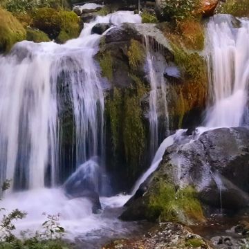 【黑森林之旅】蒂蒂湖+特里贝格瀑布|探寻格林童话秘境-可定制 【黑森林之旅】蒂蒂湖+特里贝格瀑布|探寻格林童话秘境-可定制