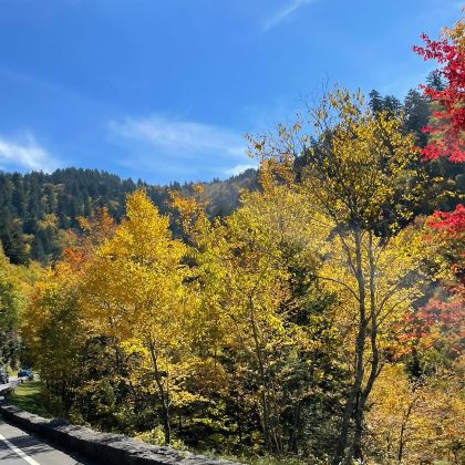 美国大烟山国家公园4日3晚跟团游 美国大烟山国家公园4日3晚跟团游