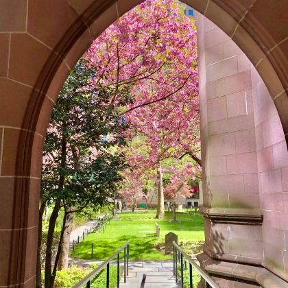 美国纽约+波士顿6日5晚拼小团 美国纽约+波士顿6日5晚拼小团