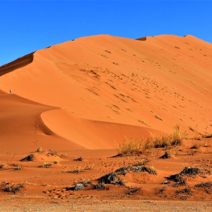 南非+纳米比亚12日11晚跟团游 南非+纳米比亚12日11晚跟团游