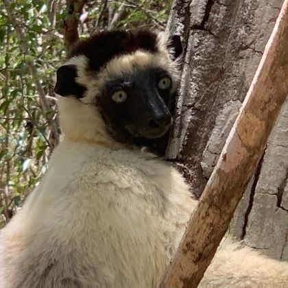 马达加斯加塔那那利佛8日7晚私家团 马达加斯加塔那那利佛8日7晚私家团