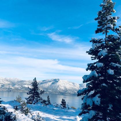 美国黄石国家公园9日8晚跟团游 美国黄石国家公园9日8晚跟团游