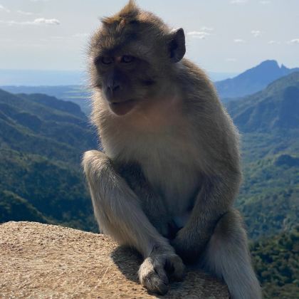 毛里求斯8日7晚拼小团 毛里求斯8日7晚拼小团