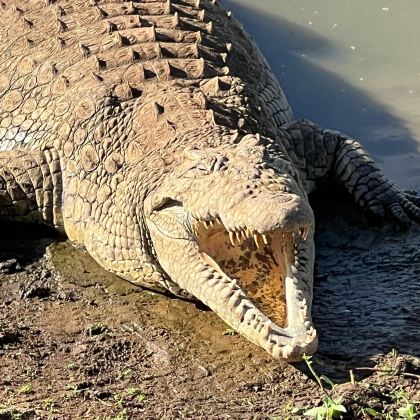 肯尼亚内罗毕+桑布鲁+地狱之门国家公园+马赛马拉国家保护区10日9晚自由行 肯尼亚内罗毕+桑布鲁+地狱之门国家公园+马赛马拉国家保护区10日9晚自由行