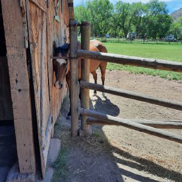 美国锡安国家公园+拱门国家公园+峡谷地国家公园+羚羊峡谷7日6晚拼小团 美国锡安国家公园+拱门国家公园+峡谷地国家公园+羚羊峡谷7日6晚拼小团