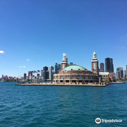 美国芝加哥谢德水族馆+威利斯大厦观景台+芝加哥艺术博物馆+密歇根湖一日游