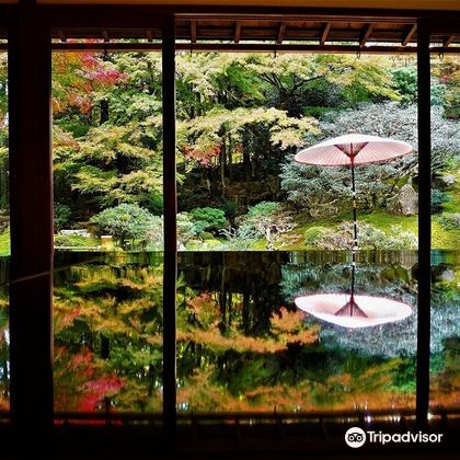 日本旧竹林院庭園+美秀美术馆+佐川美术馆+白须神社+琵琶湖一日游