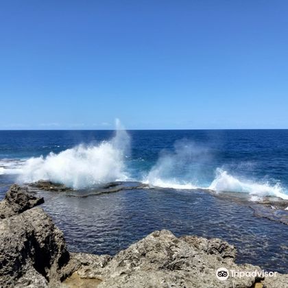 汤加努库阿洛法+Mapu'a Vaea Blowholes一日游 汤加努库阿洛法+Mapu'a Vaea Blowholes一日游