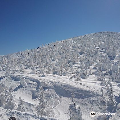 日本仙台蔵王树氷+银山温泉+藏王温泉一日游3月较佳旅游季节 日本仙台蔵王树氷+银山温泉+藏王温泉一日游3月较佳旅游季节