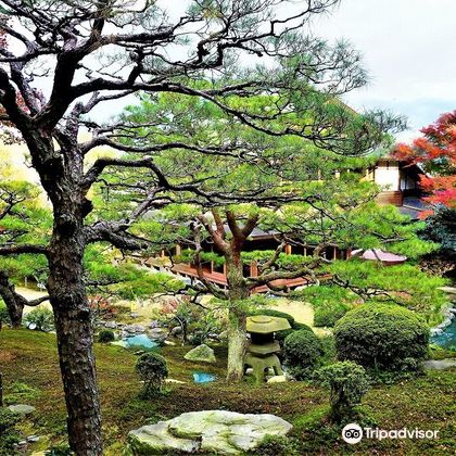 日本京都旧竹林院庭園+佐川美术馆+白须神社+琵琶湖一日游