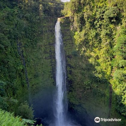 美国大岛(夏威夷岛)阿卡卡瀑布州立公园+冒纳凯阿火山+怀皮奥山谷一日游 美国大岛(夏威夷岛)阿卡卡瀑布州立公园+冒纳凯阿火山+怀皮奥山谷一日游