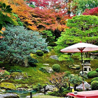 日本京都唐崎神社+旧竹林院庭園+白髭神社一日游