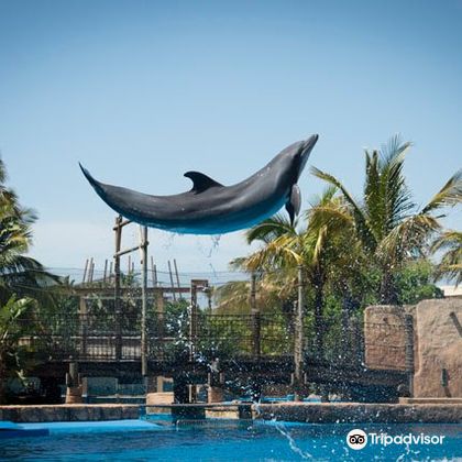 南非德班印度广场+德班乌沙卡水底世界水族馆一日游 南非德班印度广场+德班乌沙卡水底世界水族馆一日游