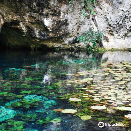 Gran Cenote+普拉亚德尔卡曼+墨西哥图卢姆玛雅遗址一日游