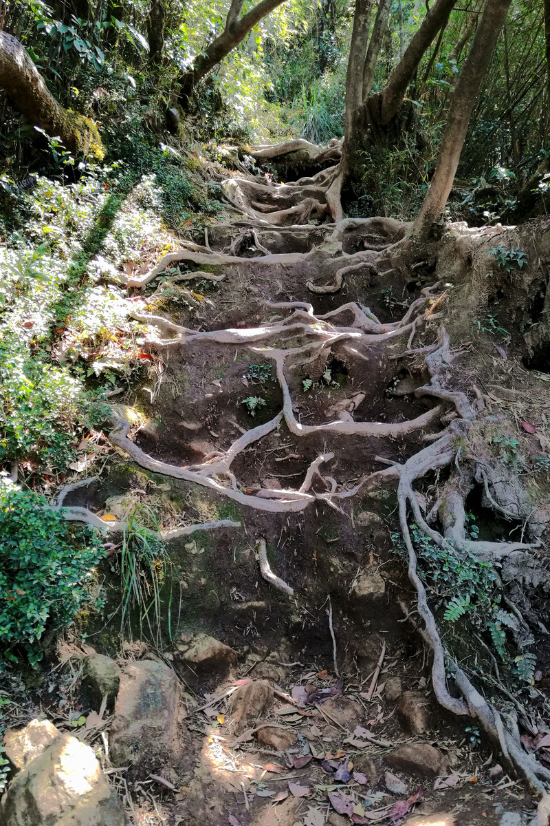 游遍海南五a景区,登顶海南最高山峰 - 五指山游记攻略