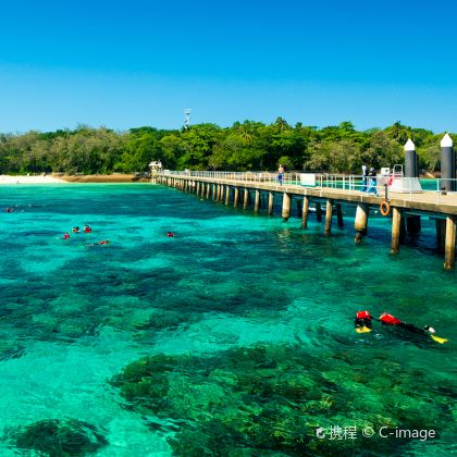 澳大利亚凯恩斯大堡礁+Skyrail发现远古热带雨林+库兰达雨林小镇+帕罗尼拉公园6日4晚私家团