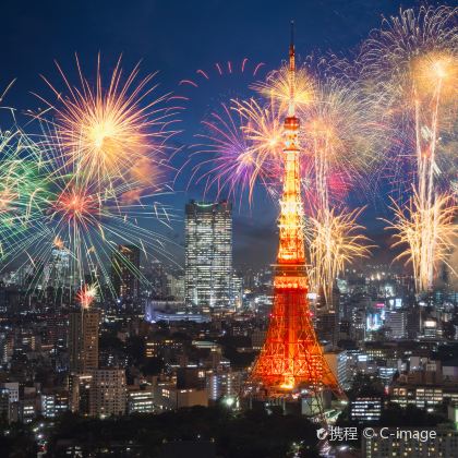 大阪+京都+富士山+东京+镰仓市12日11晚私家团