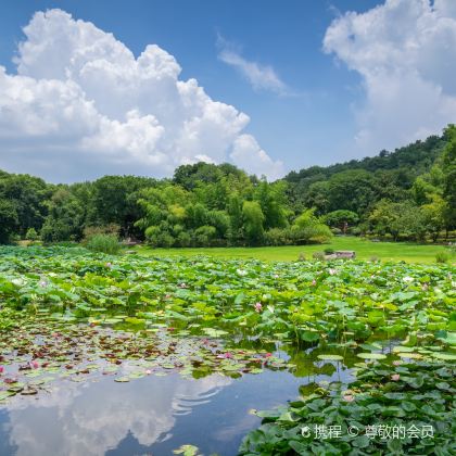 武汉+黄鹤楼+东湖+武汉大学+湖北省博物馆+木兰山+梁子湖风景区14日13晚私家团