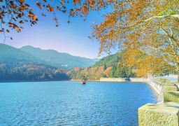 travel picture