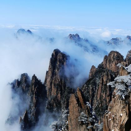 黄山风景区+千岛湖+婺源+西递+宏村7日6晚跟团游