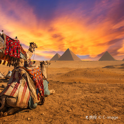 埃及开罗吉萨金字塔群+狮身人面像+埃及博物馆+哈利利市场一日游