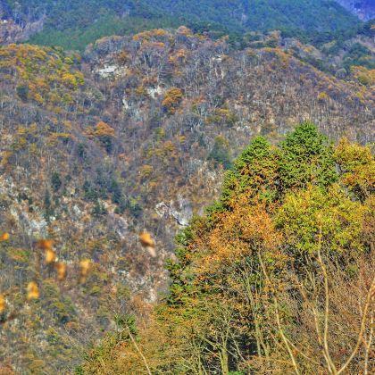 罗田大别山薄刀峰+三里畈温泉一日游 武汉往返|罗田必打卡G 罗田大别山薄刀峰+三里畈温泉一日游 武汉往返|罗田必打卡G