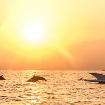 印度尼西亚巴厘岛7日5晚跟团游 印度尼西亚巴厘岛7日5晚跟团游