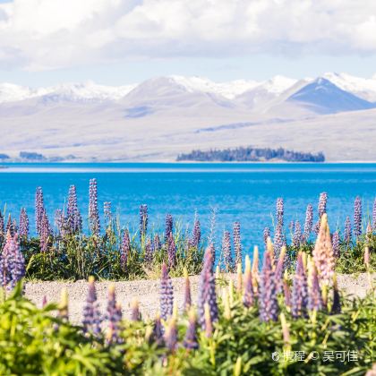 新西兰南岛+北岛+皇后镇+法兰兹约瑟夫+格林诺奇18日16晚自由行 新西兰南岛+北岛+皇后镇+法兰兹约瑟夫+格林诺奇18日16晚自由行