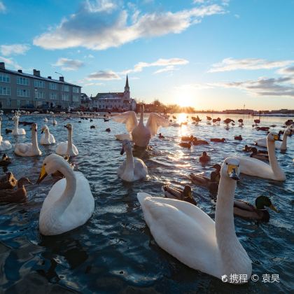 冰岛雷克雅未克+维克7日6晚自由行 冰岛雷克雅未克+维克7日6晚自由行